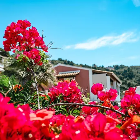 Corfu 91 公寓
